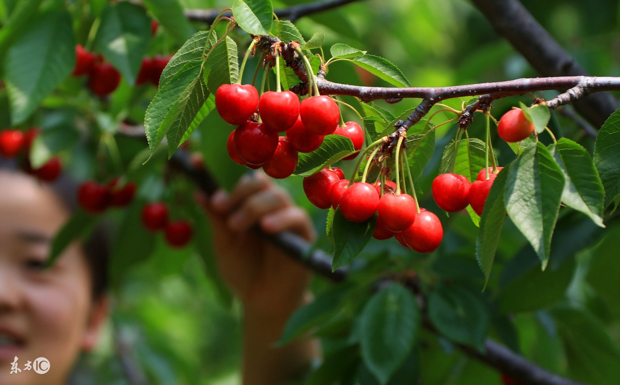 前360员工,360老板告诉你创业