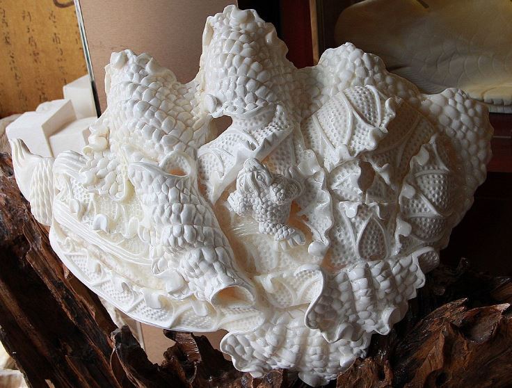 砗磲珠子真假分辨方法,砗磲佛珠的鉴别方法