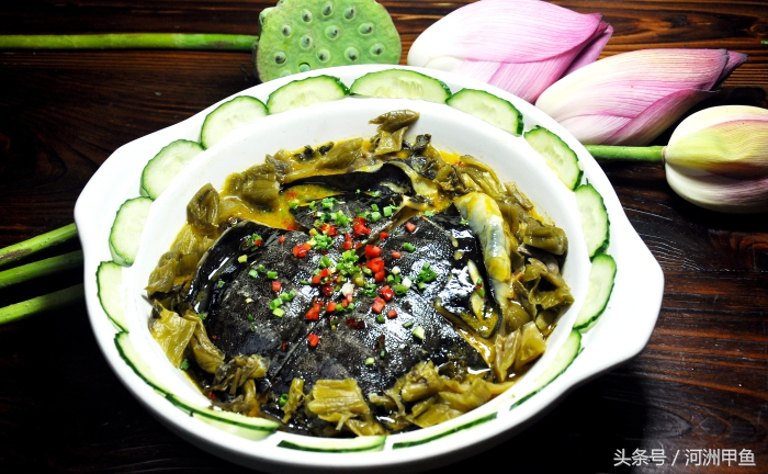 甲鱼菜品介绍术语,甲鱼菜品语言介绍