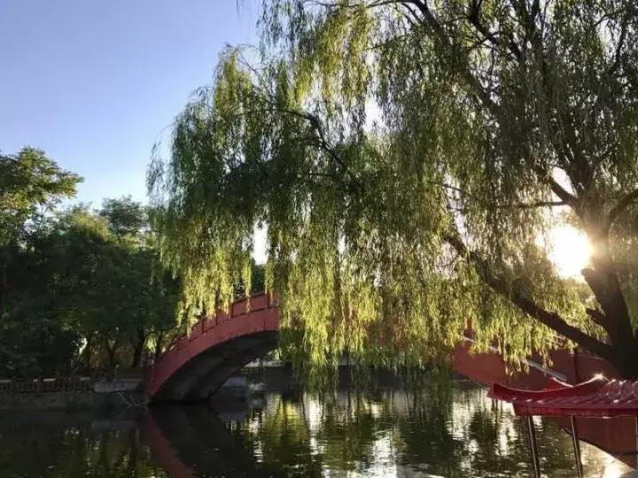 信阳烤鱼哪家好吃,信阳本地烤鱼最好吃的店