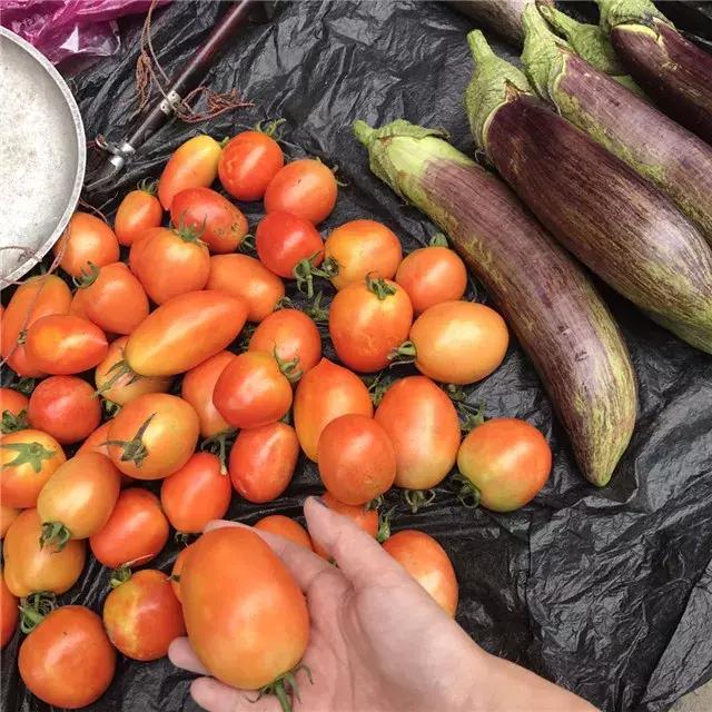 当你觉得活不下去的时候，就去菜市场吧