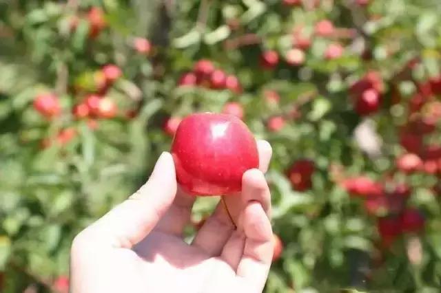 九台周边三日游去哪儿好,黄金周出游怎么玩