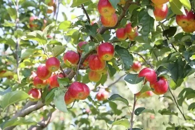 九台周边三日游去哪儿好,黄金周出游怎么玩