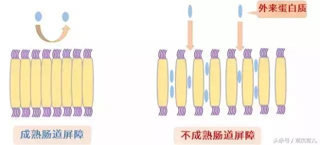 江湖告急|小主喝奶粉过敏,怎么办?