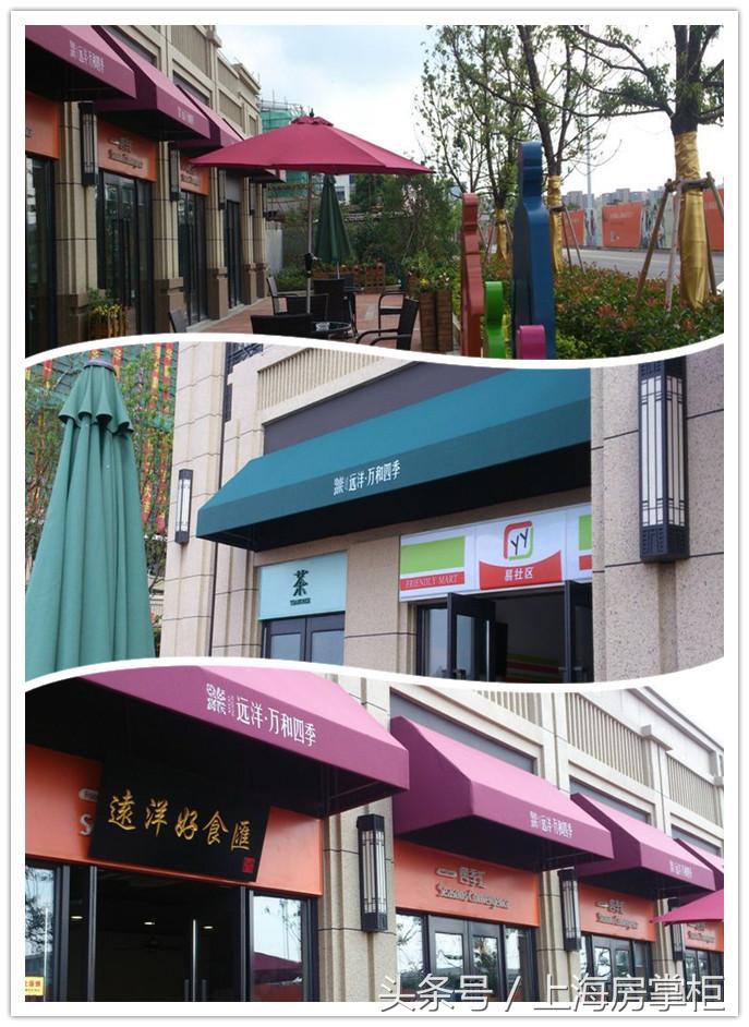 紧邻16号线惠南站一品牌开发商开盘为何如此热销