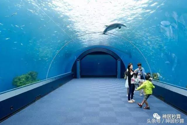 横滨青叶区旅游景点,日本横滨旅游景点