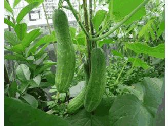 中秋节你们收到月饼吗,中秋节你们都有收到月饼吗