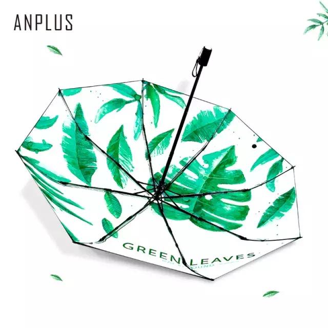 夏日出门必备装备,雨天必备的装备有哪些呢