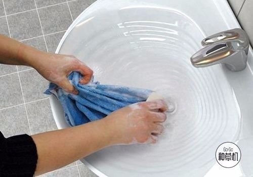 *裤内**什么时候洗？用什么洗？洗完怎么晾？99%的女人都做错了！