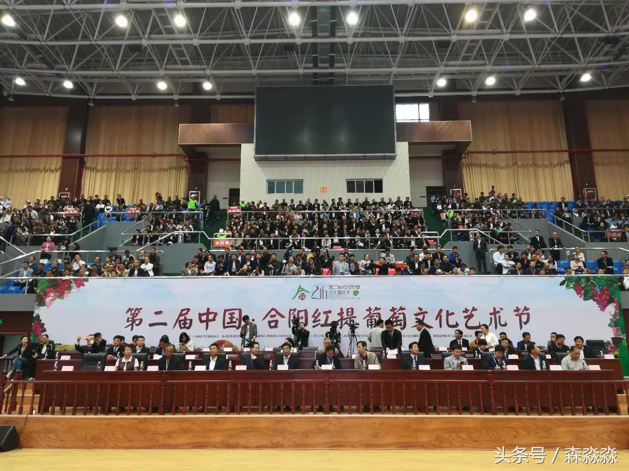 陕西合阳红提葡萄图,合阳红提葡萄节