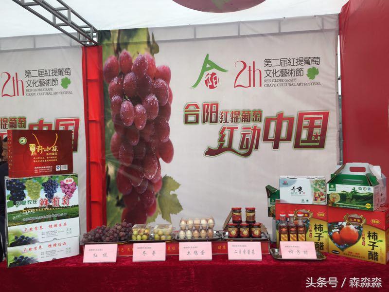 陕西合阳红提葡萄图,合阳红提葡萄节