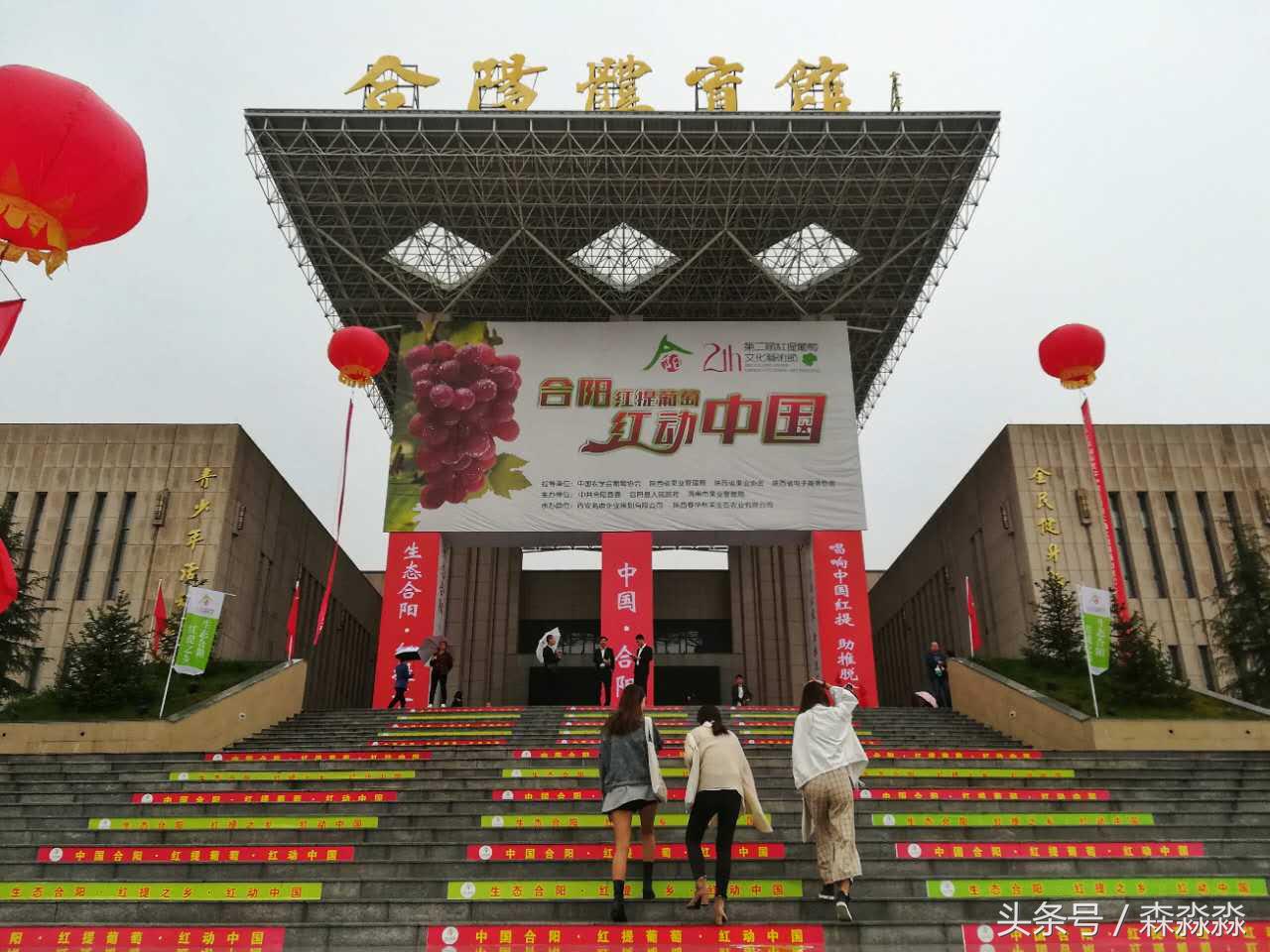 陕西合阳红提葡萄图,合阳红提葡萄节