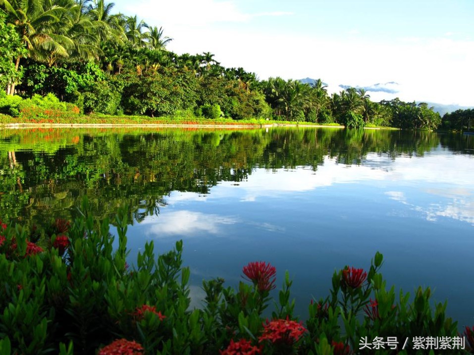鍒版捣鍗楀矝鐜╃殑鏀荤暐,鍝忓効閮介潚骞存父娴峰崡