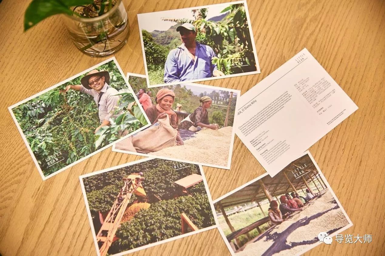 上海最美的景观餐厅 (上海有哪些艺术品餐厅)