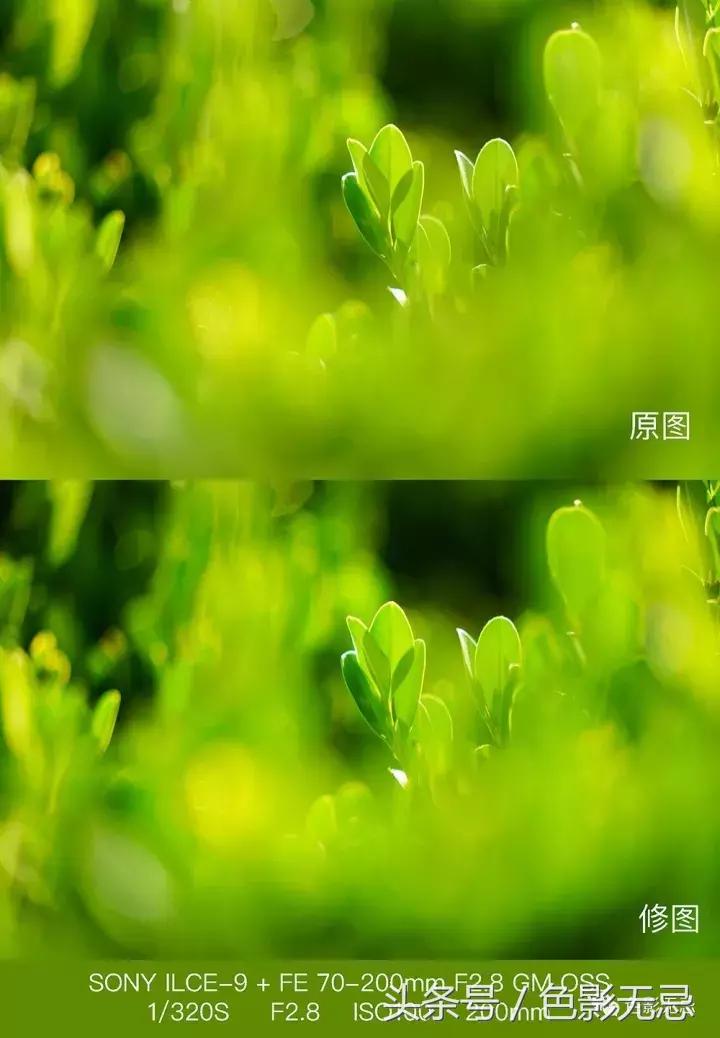 索尼fe70-200f2.8人像,索尼fe70-200mm