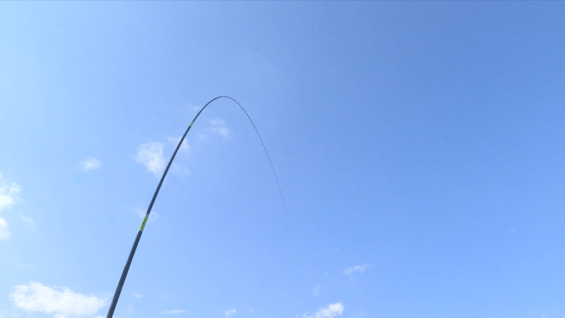 钓二水鱼的饵料状态,钓二胡子鱼用什么饵最好