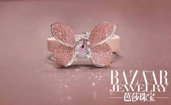 时尚新宠到底有哪些魅力,时尚界的新宠是谁