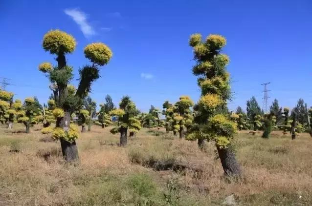 九台周边三日游去哪儿好,黄金周出游怎么玩