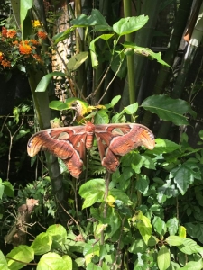 普吉岛清迈曼谷的游玩顺序亲子游,泰国清迈旅游团自由行