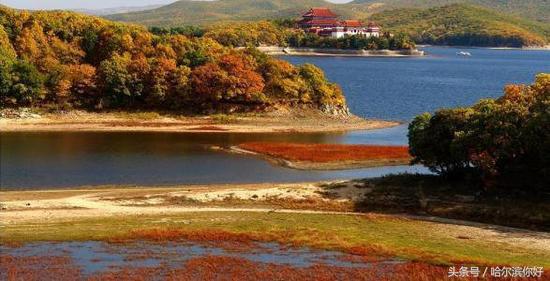 5月19号黑龙江有哪些景区免门票,黑龙江旅游日免门票景区