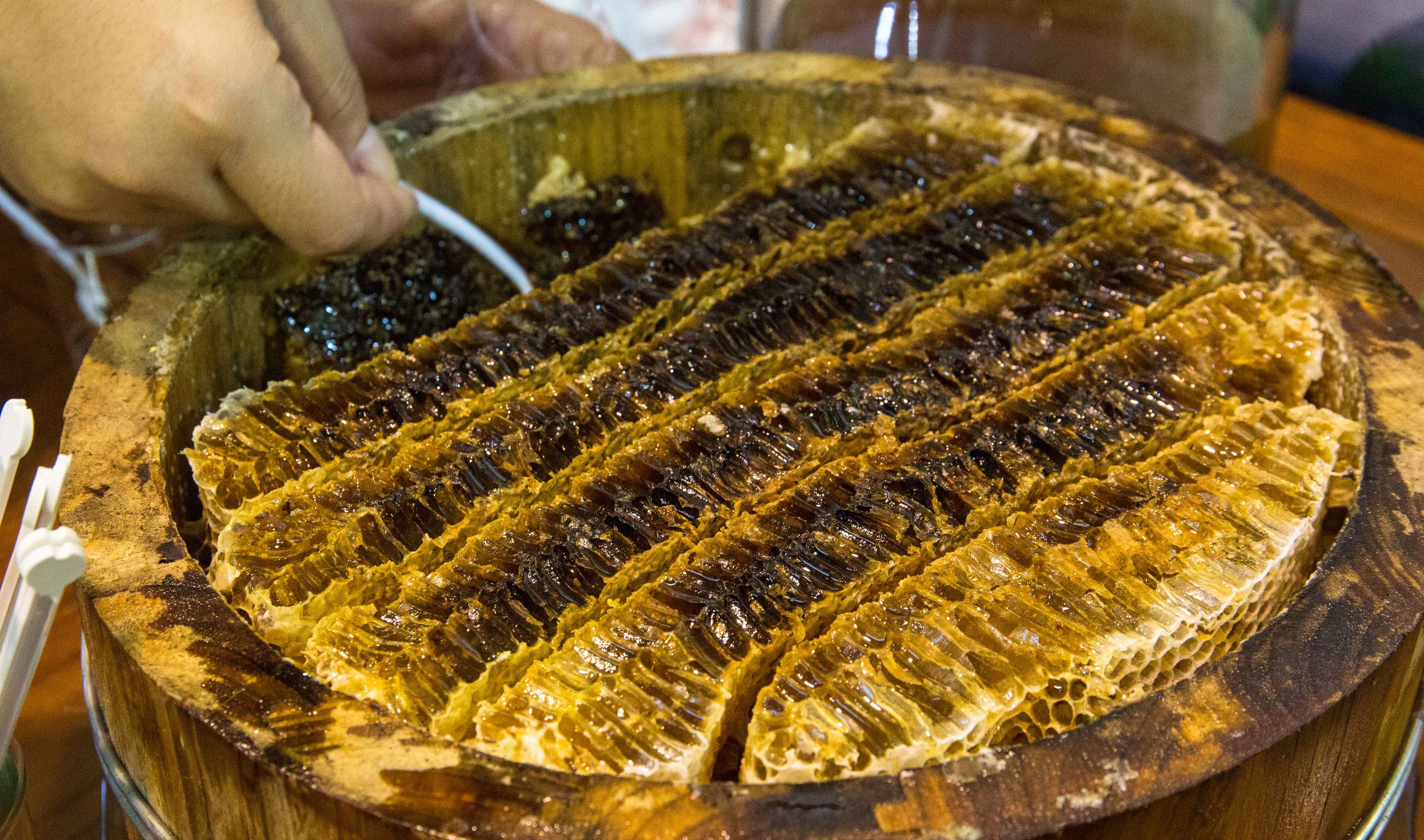 浙江农博会藏梨,在展博会体验满满未来感