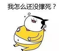 四川航空能否乘坐,千万不要坐飞机去的地方