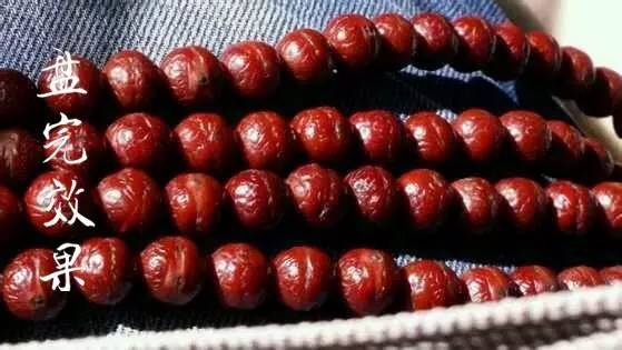 凤眼龙眼麒麟眼哪个眼睛不容易破,11.5-12毫米凤眼菩提麒麟眼