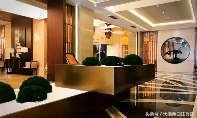 听任素汐的歌曲感受,调素琴阅金经无丝竹之乱耳