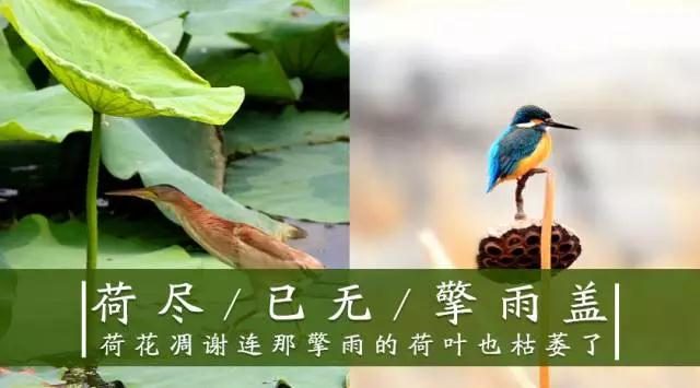 ppt课件制作方法与技巧教程文库,ppt课件制作教程技巧