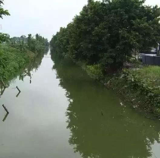 工地施工影响生活怎么办？小区附近河涌黑臭怎么破？答案点进来！