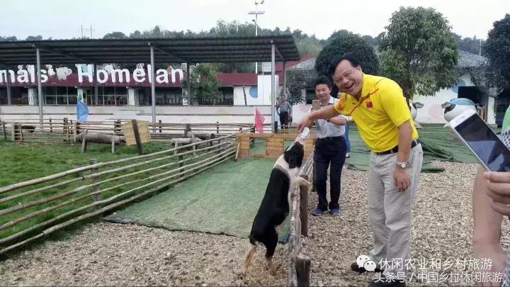 农村休闲农业17种卖点值得收藏,休闲农业与乡村美食