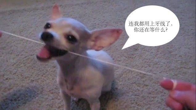 为什么两颗牙不能同时治疗,哪一颗牙最不容易发生蛀牙