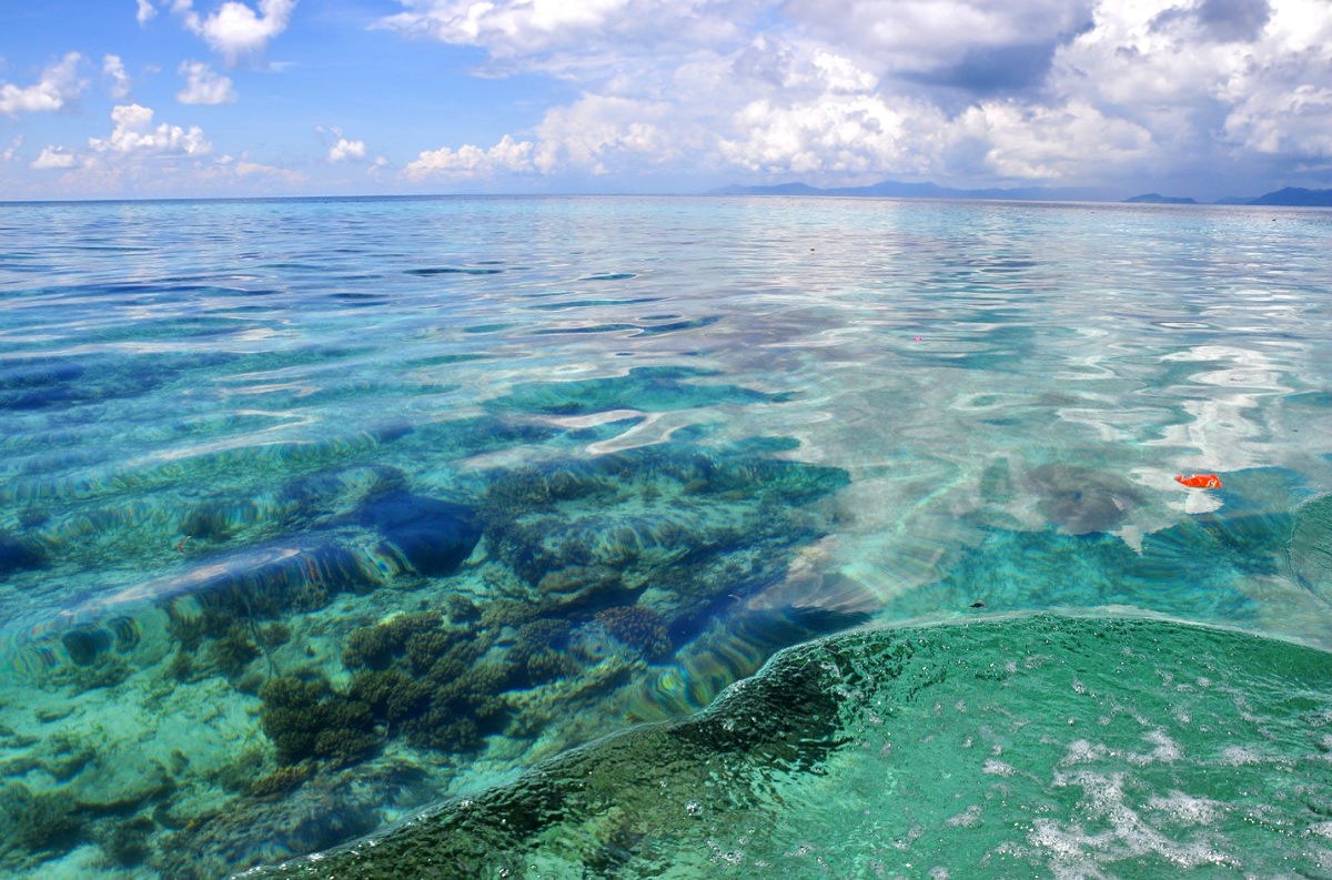 鍒版捣鍗楀矝鐜╃殑鏀荤暐,鍝忓効閮介潚骞存父娴峰崡