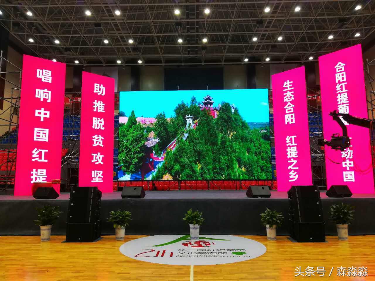 陕西合阳红提葡萄图,合阳红提葡萄节