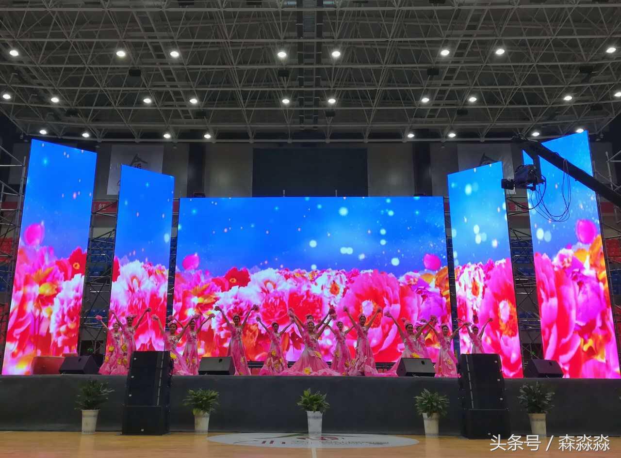 陕西合阳红提葡萄图,合阳红提葡萄节