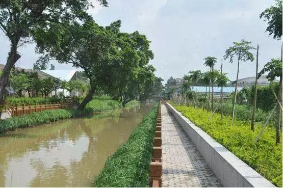 工地施工影响生活怎么办？小区附近河涌黑臭怎么破？答案点进来！