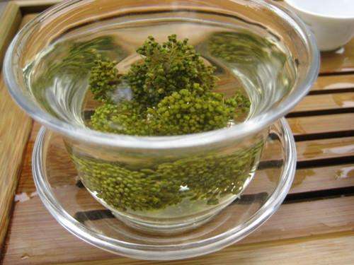 三七花泡水喝的养生功效,三七花和枸杞泡水的功效