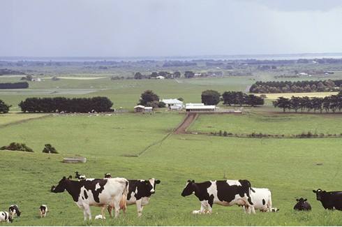 蒙牛收购澳洲奶企,蒙牛收购澳大利亚乳企