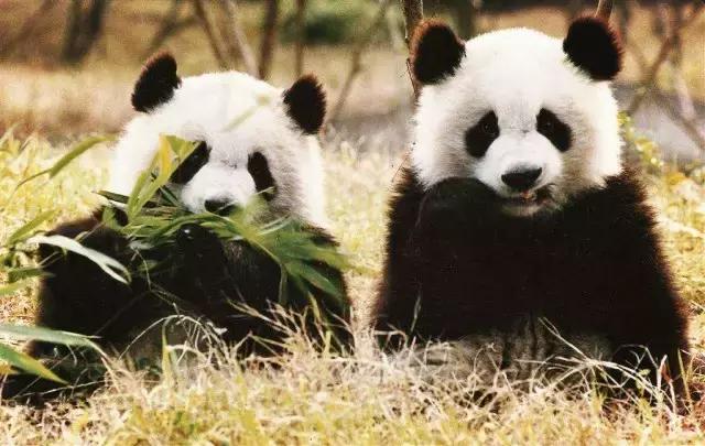 鄂尔多斯度假攻略,鄂尔多斯旅游攻略2日游