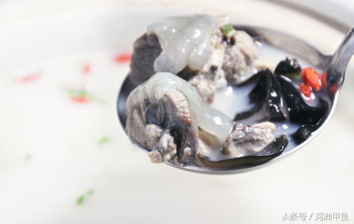 甲鱼菜品介绍术语,甲鱼菜品语言介绍