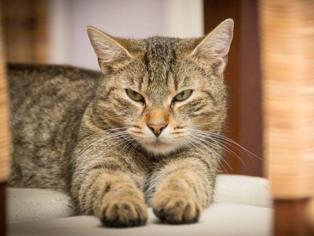 小额贷款培训机构骗局揭秘,兼职贷款陷阱