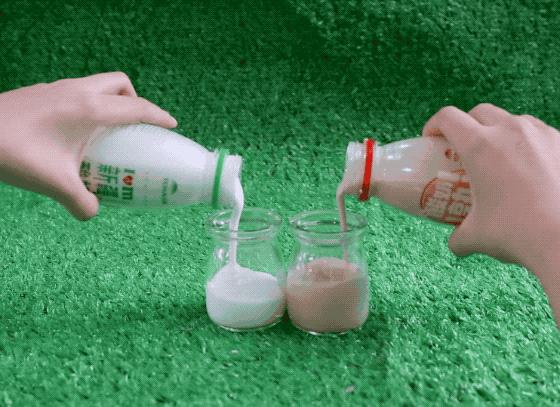 网红酸奶确实好喝,曾经的网红酸奶