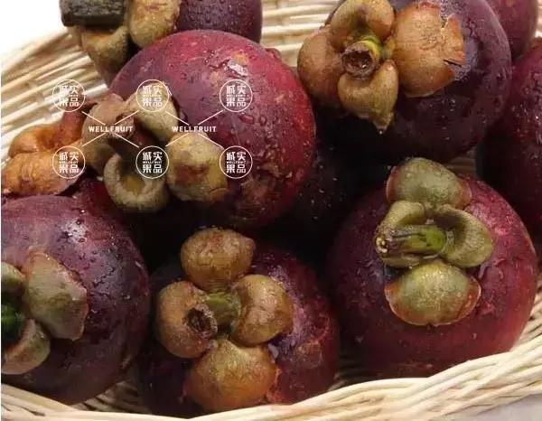 山竹有哪些问题,关于山竹的那些事