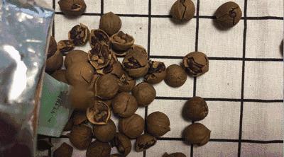 中秋节你们收到月饼吗,中秋节你们都有收到月饼吗