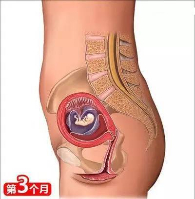 生娃注意事项及经验总结,26个从怀孕到生娃的母婴常识