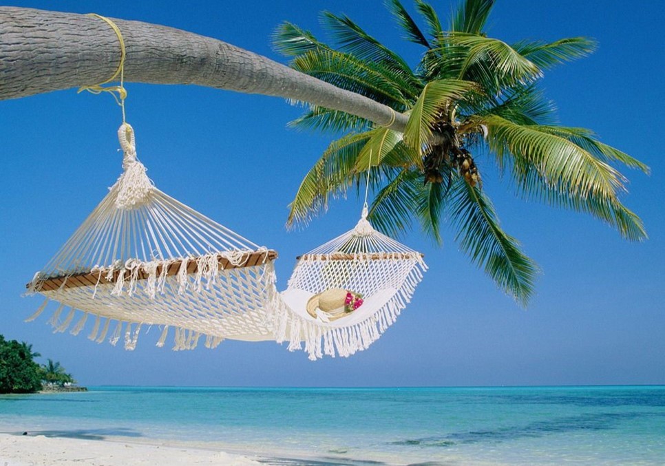 鍒版捣鍗楀矝鐜╃殑鏀荤暐,鍝忓効閮介潚骞存父娴峰崡