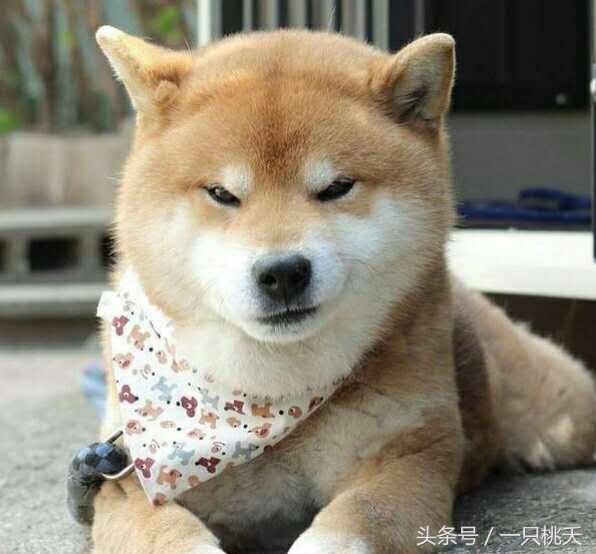 北漂辞职后悔么,北漂回家后悔吗