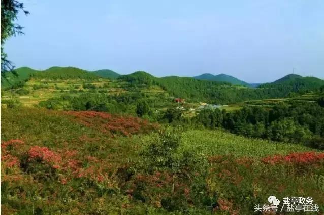 三分钟让你读懂盐亭的前世今生!