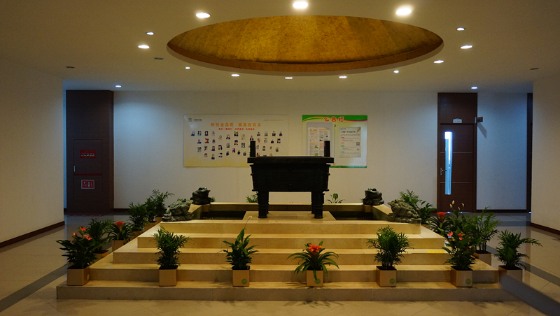 盆花烂根解决小妙招,绿植脱水怎么补救