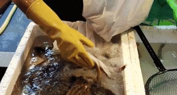 宁波罗曼蒂克火锅,宁波大排档探店